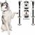 Caldwell’s Pet Supply Co. Potty Bells Housetraining Dog Doorbells for Dog Training and Housebreaking Your Dog